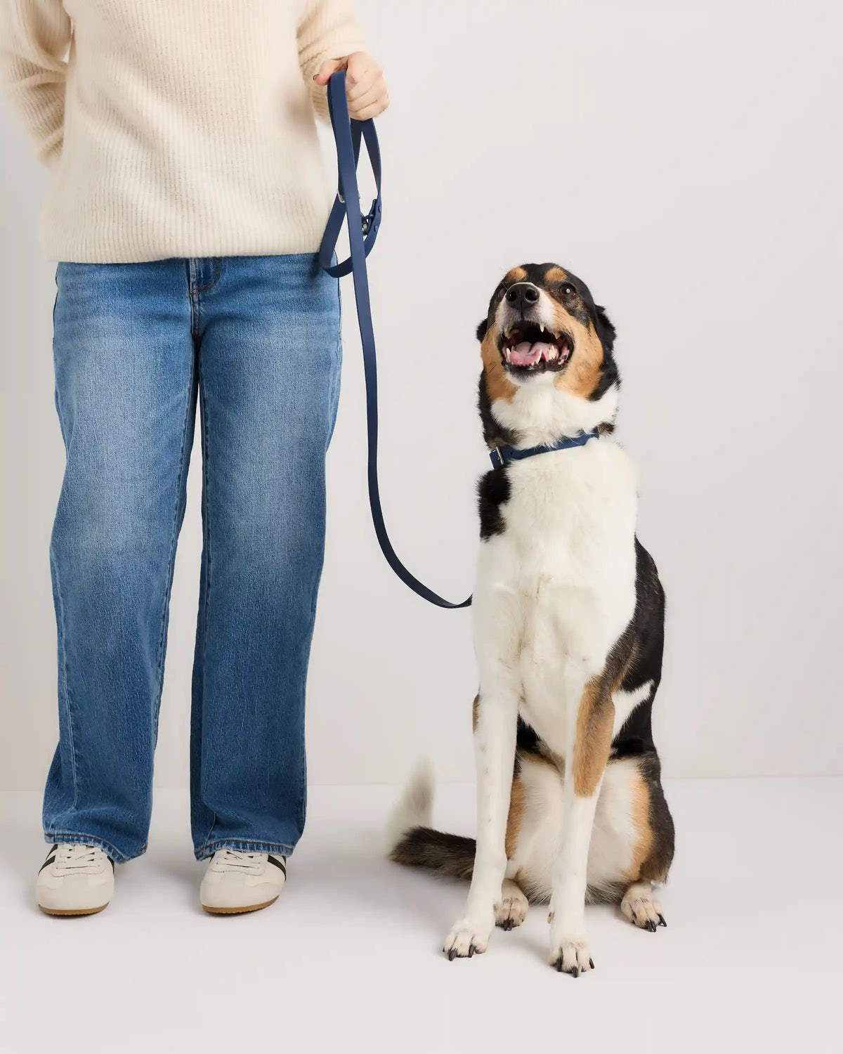 Flex-Poly Dog Collar