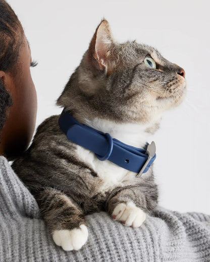 Flex-Poly Dog Collar