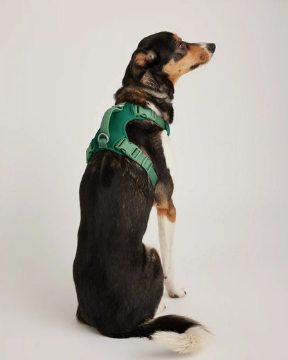 Neoprene Double Panel Dog Harness
