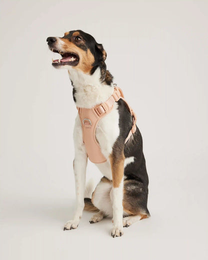 Neoprene Double Panel Dog Harness