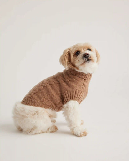 Mongolian Cashmere Cable Knit Dog Sweater