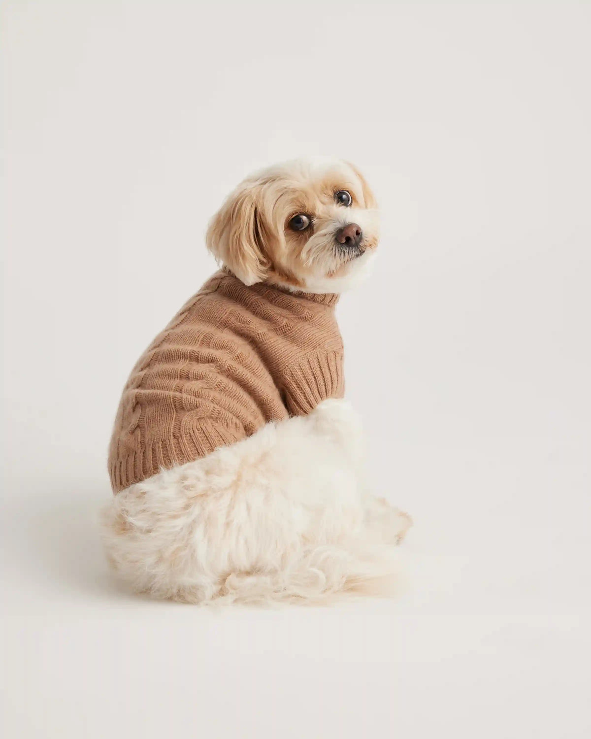 Mongolian Cashmere Cable Knit Dog Sweater