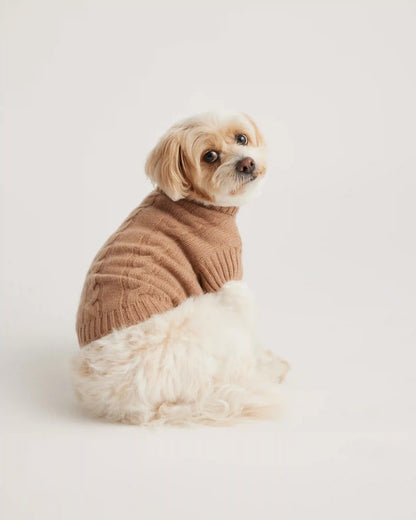 Mongolian Cashmere Cable Knit Dog Sweater