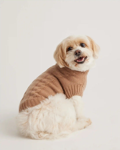 Mongolian Cashmere Cable Knit Dog Sweater