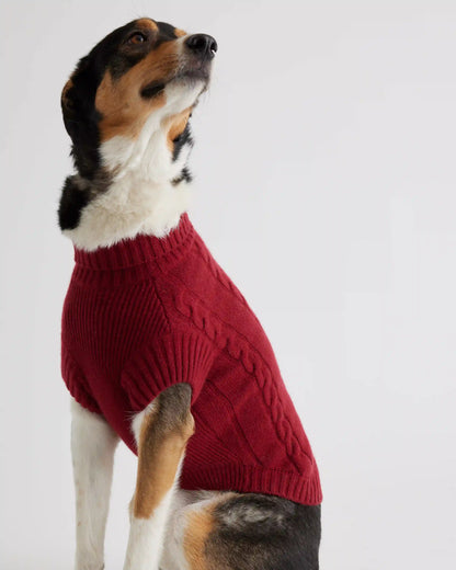 Mongolian Cashmere Cable Knit Dog Sweater