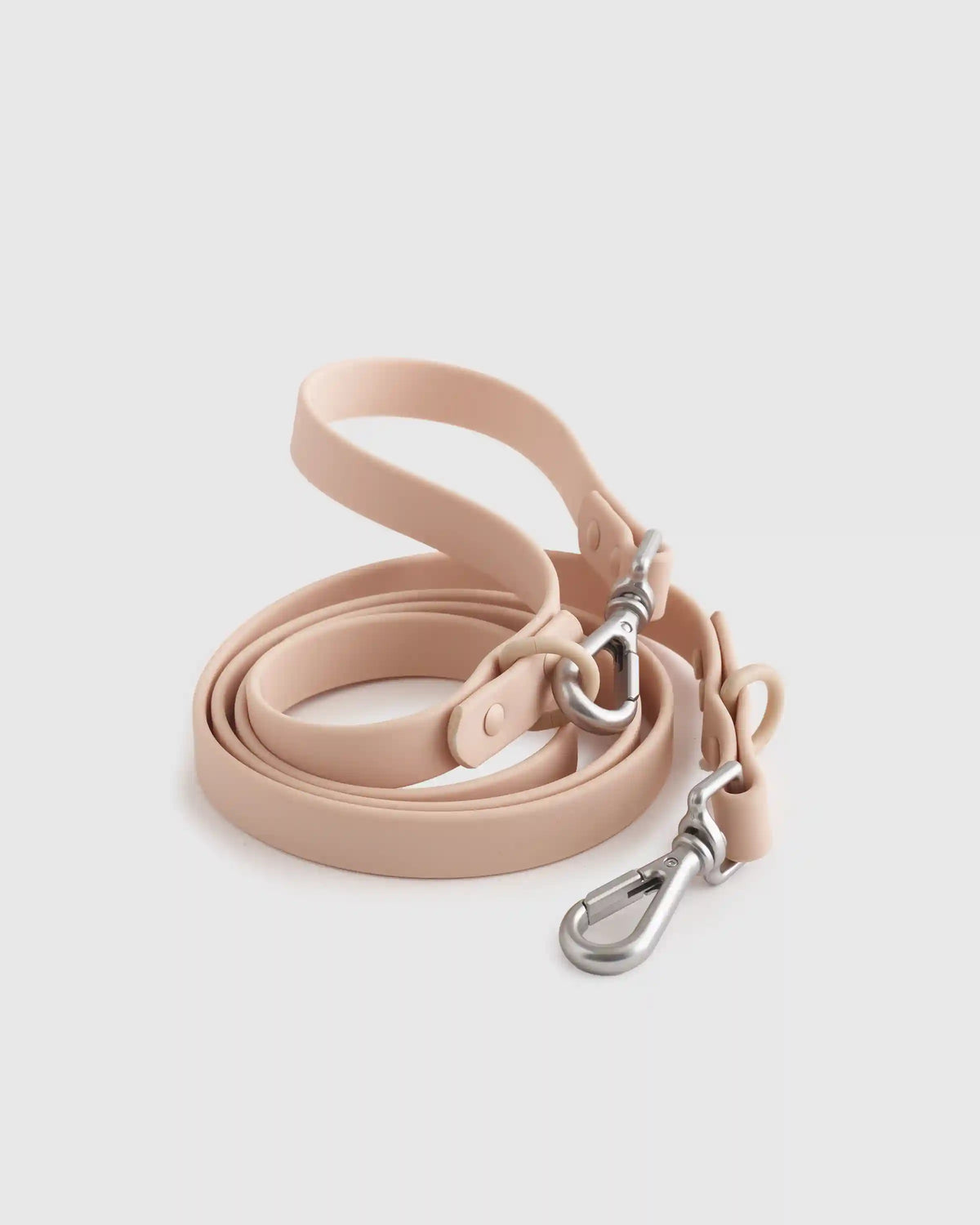 Dog Collar Walk Kit