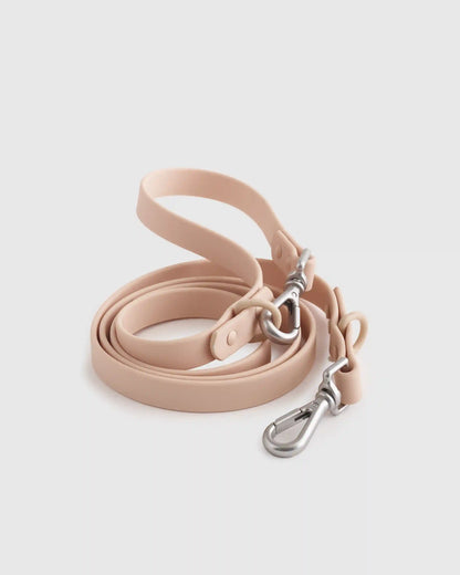 Dog Collar Walk Kit