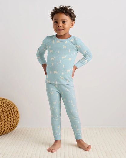 100% Organic Cotton Long Sleeve and Pant Pajama Set