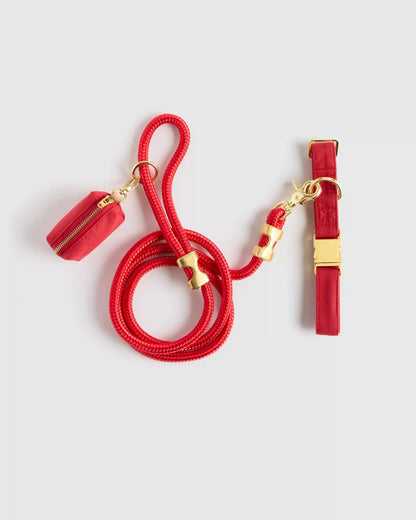 100% Cotton-Wrapped Nylon Dog Collar Walk Kit