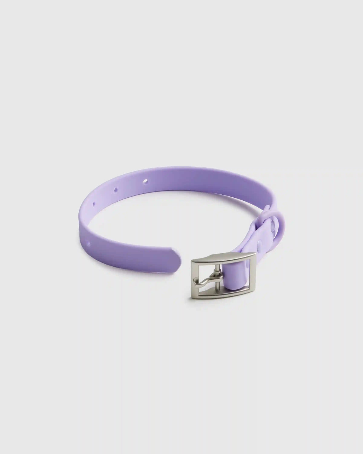 Dog Collar Walk Kit