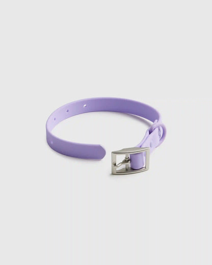 Dog Collar Walk Kit