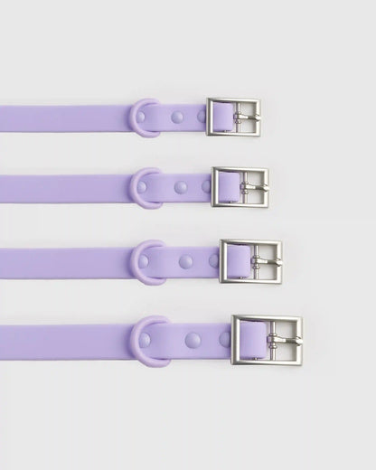 Dog Collar Walk Kit