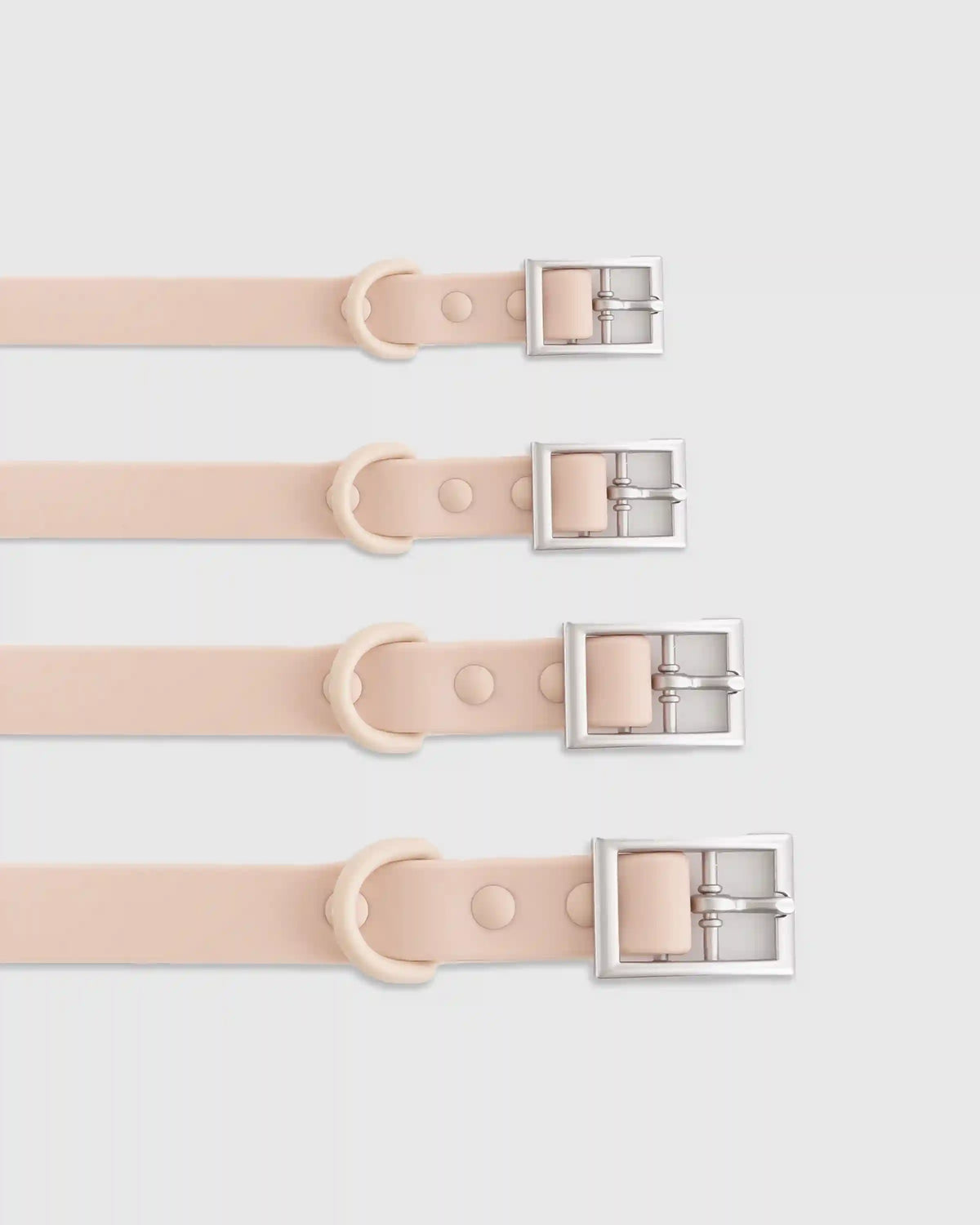 Dog Collar Walk Kit