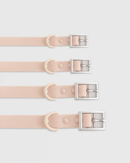 Dog Collar Walk Kit