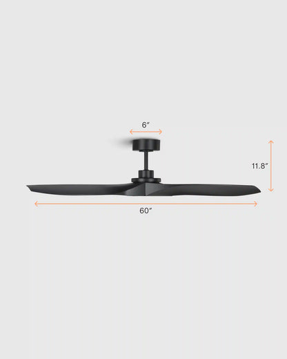 Outdoor Transitional Ceiling Fan