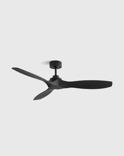 Outdoor Transitional Ceiling Fan