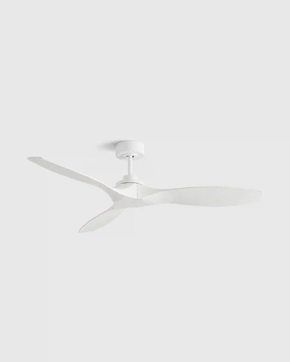 Outdoor Transitional Ceiling Fan