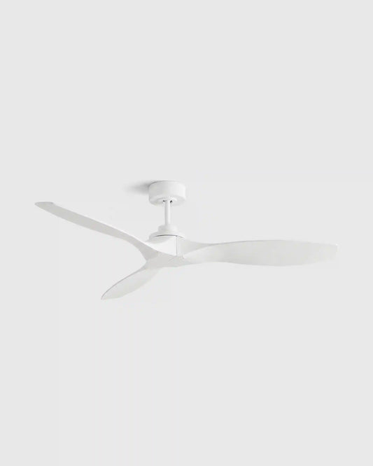 Outdoor Transitional Ceiling Fan