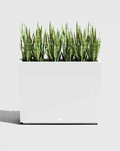 Block Series All Weather Rectangular Planter by Veradek